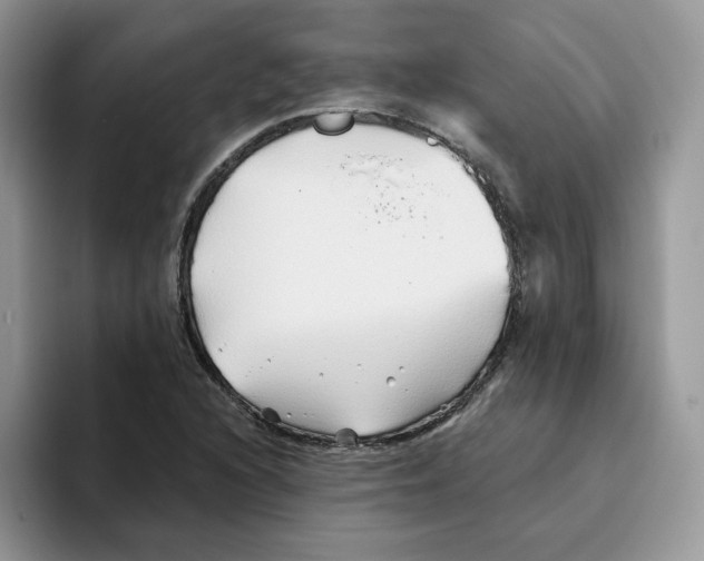 X0000093501216200711091657