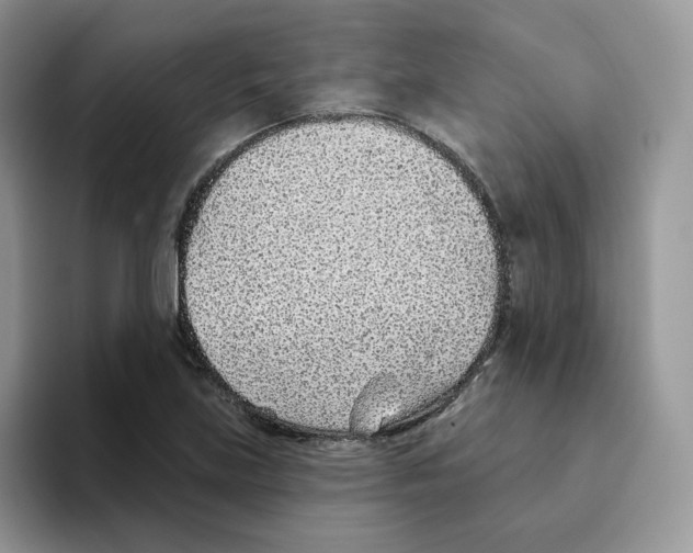 X0000093501219200711091657