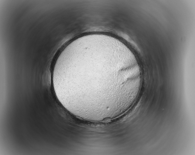 X0000093501221200711091657