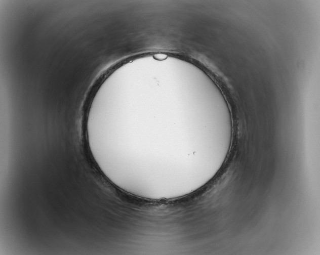 X0000093501222200711091657