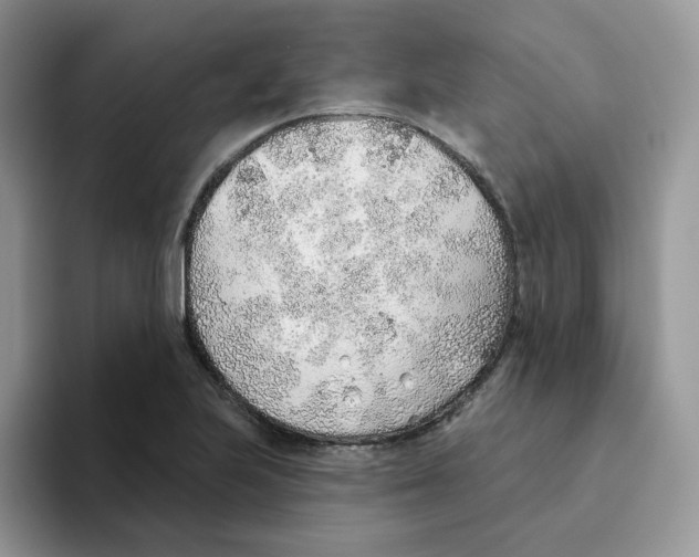 X0000093501223200711091657