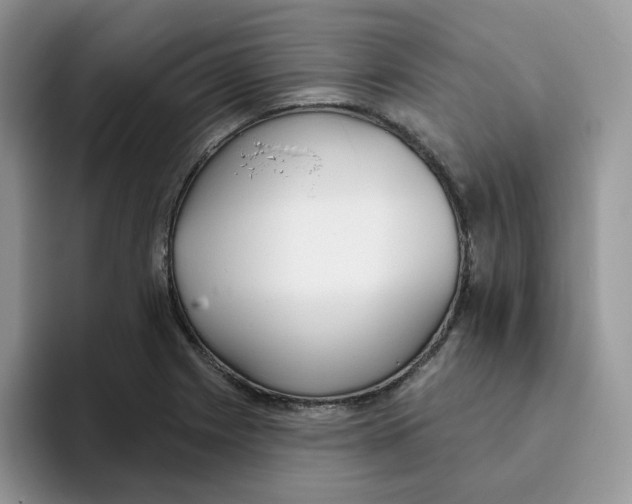 X0000093501225200711091657