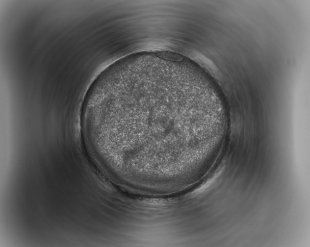 X0000093501226200711091657