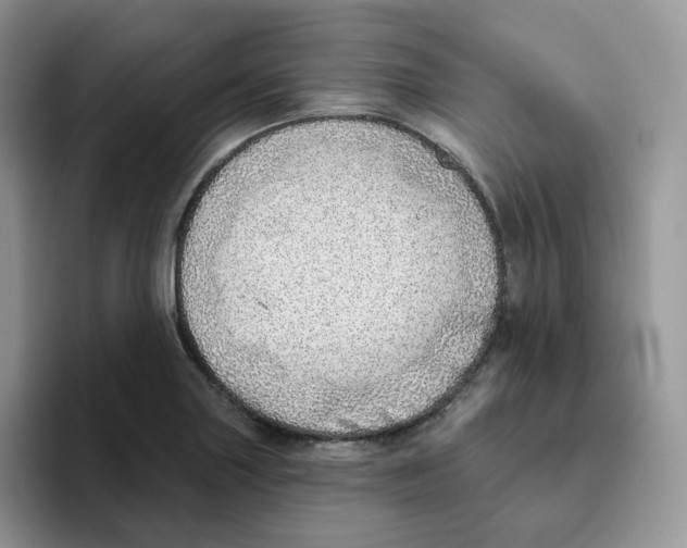 X0000093501227200711091657
