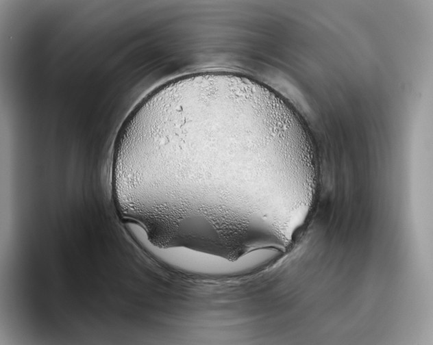 X0000093501228200711091657