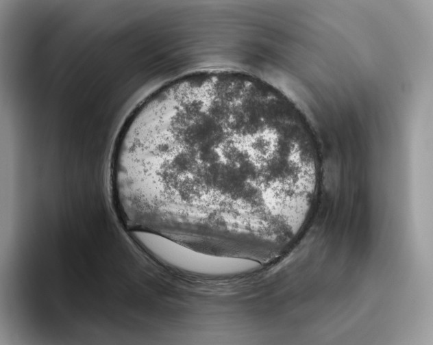 X0000093501229200711091657