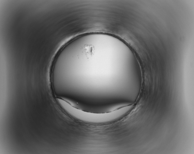 X0000093501230200711091657