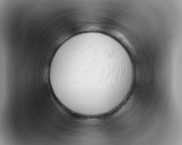 X0000093501233200711091657