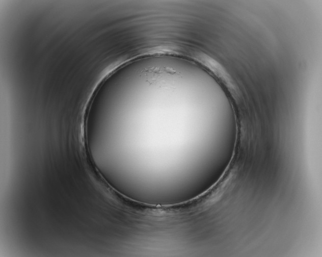 X0000093501234200711091657