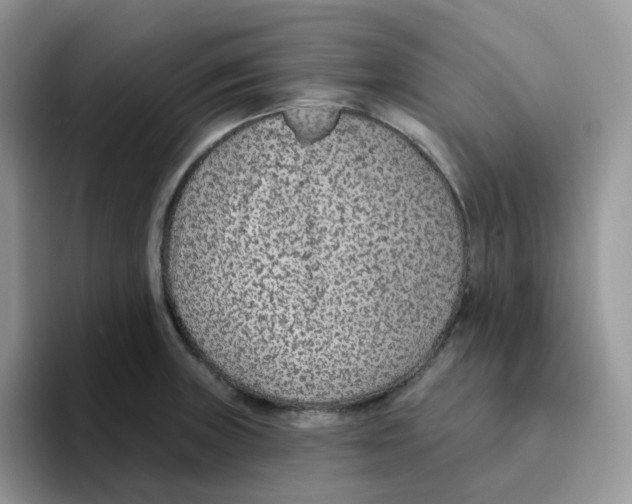 X0000093501235200711091657