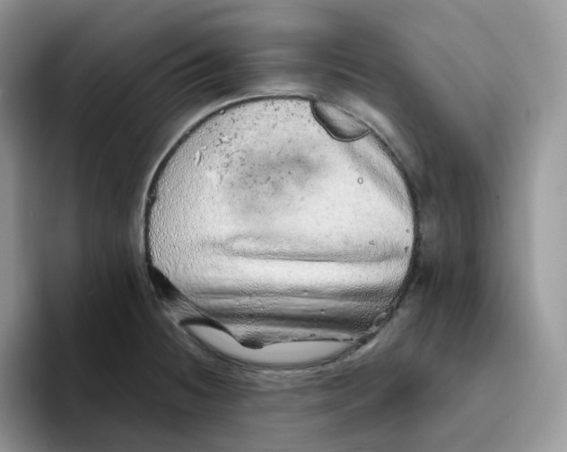 X0000093501236200711091657