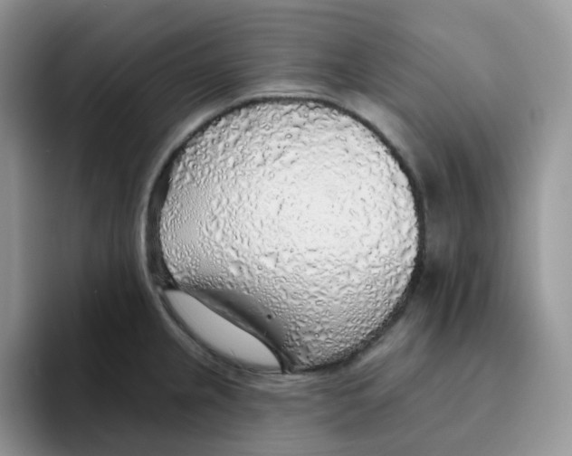 X0000093501237200711091657