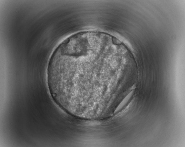 X0000093501239200711091657