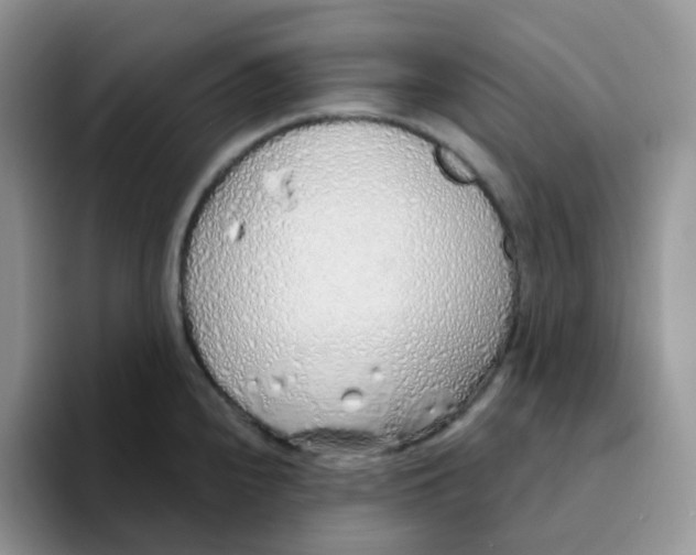 X0000093501240200711091657