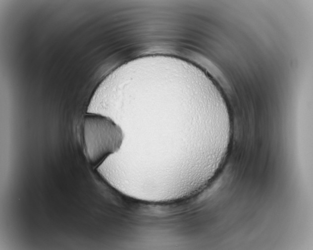 X0000093501241200711091657