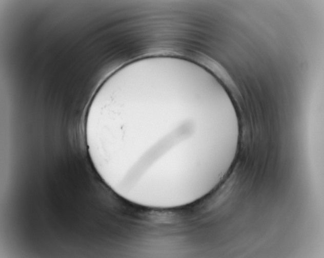 X0000093501242200711091657