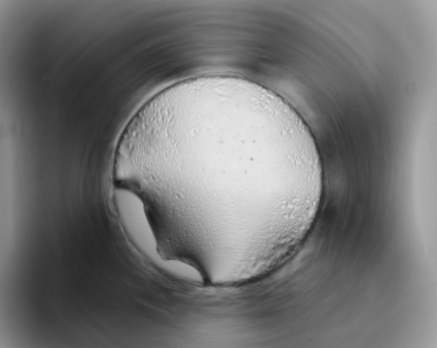 X0000093501244200711091657
