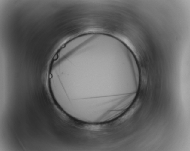 X0000093501245200711091657