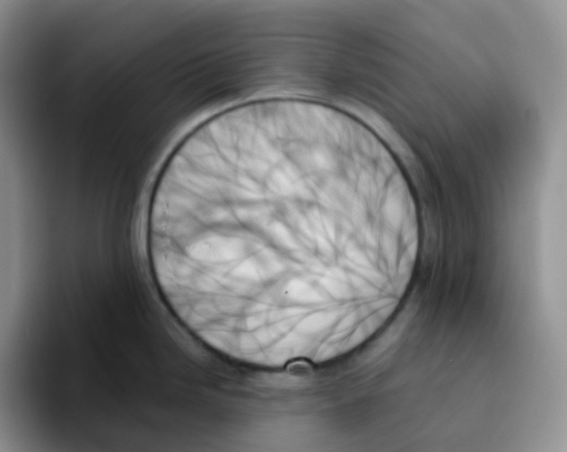 X0000093501246200711091657