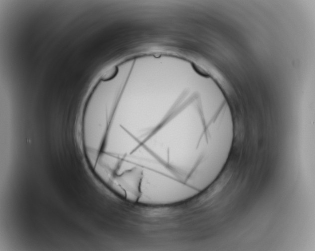 X0000093501247200711091657