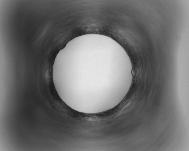 X0000093501250200711091656