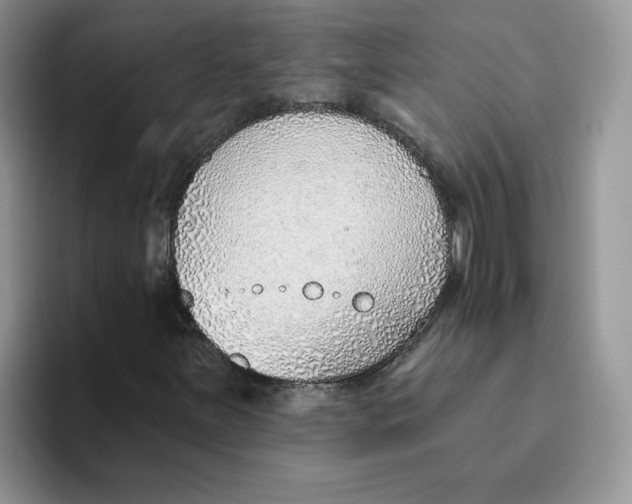 X0000093501251200711091656