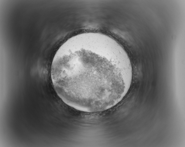 X0000093501254200711091656