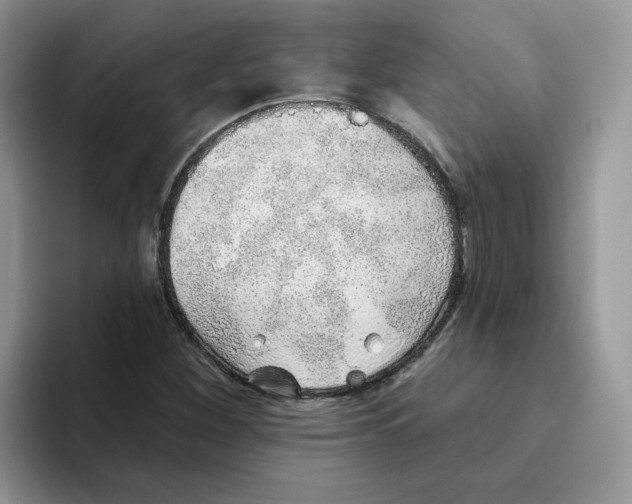 X0000093501260200711091656