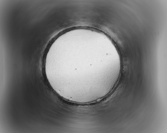 X0000093501264200711091656