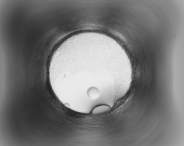 X0000093501267200711091656