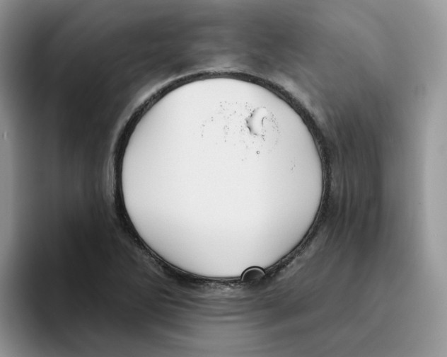 X0000093501270200711091656