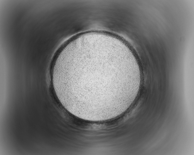 X0000093501271200711091656
