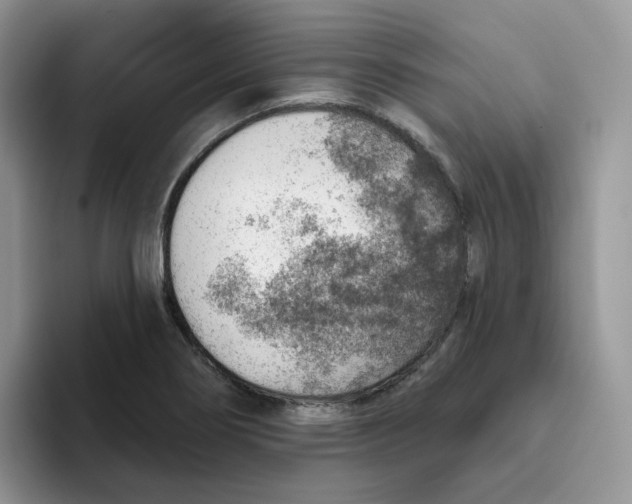 X0000093501274200711091656