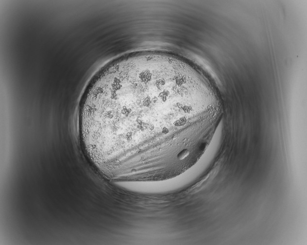 X0000093501275200711091656