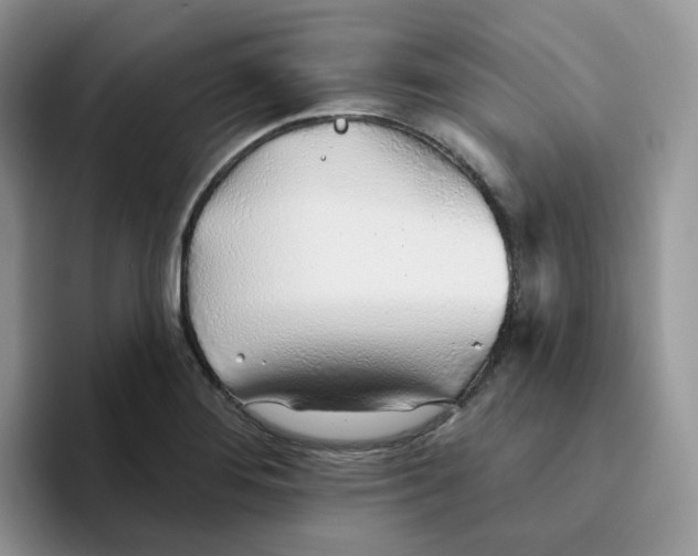 X0000093501276200711091656
