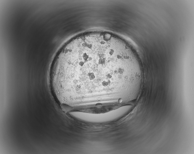 X0000093501279200711091656