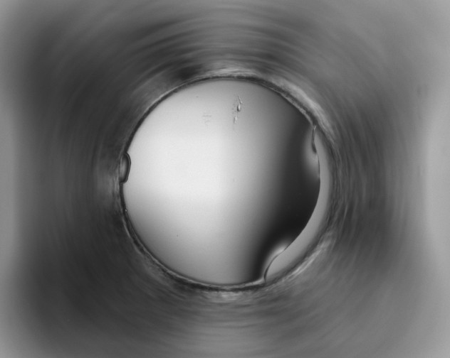 X0000093501281200711091656