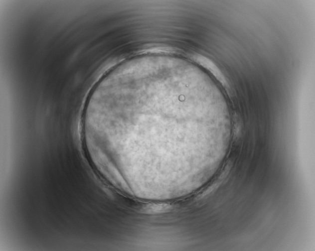 X0000093501282200711091656