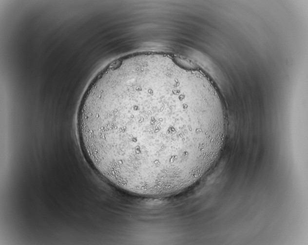 X0000093501283200711091656
