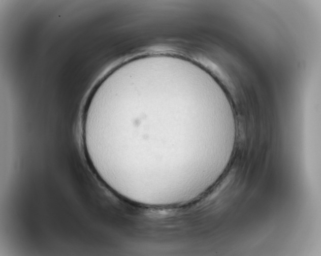 X0000093501286200711091656