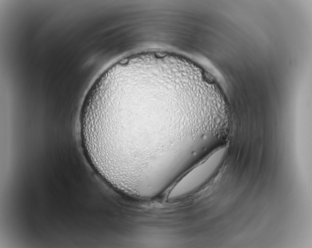 X0000093501287200711091656
