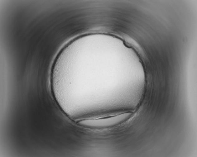 X0000093501288200711091656
