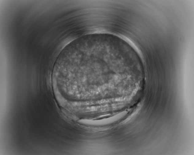 X0000093501289200711091656