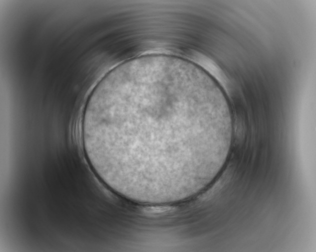 X0000093501290200711091656