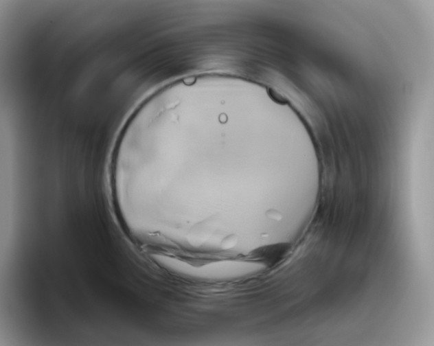 X0000093501291200711091656