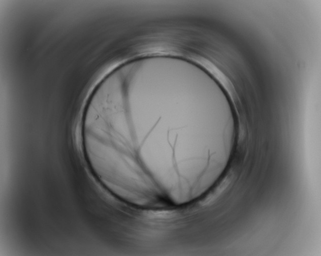 X0000093501293200711091656