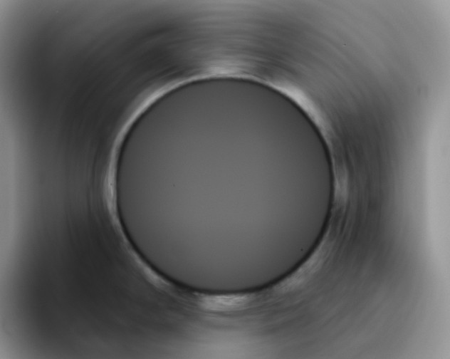 X0000093501294200711091656