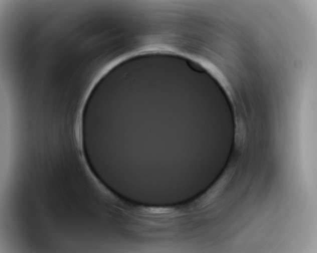 X0000093501295200711091656