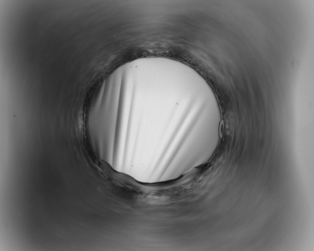 X0000093501298200711091655