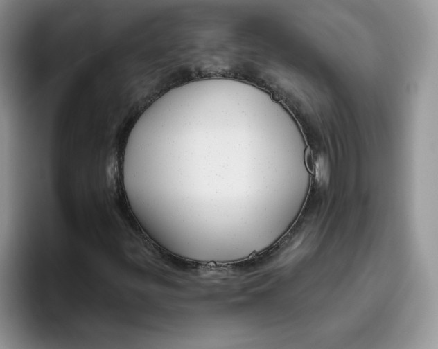 X0000093501299200711091655